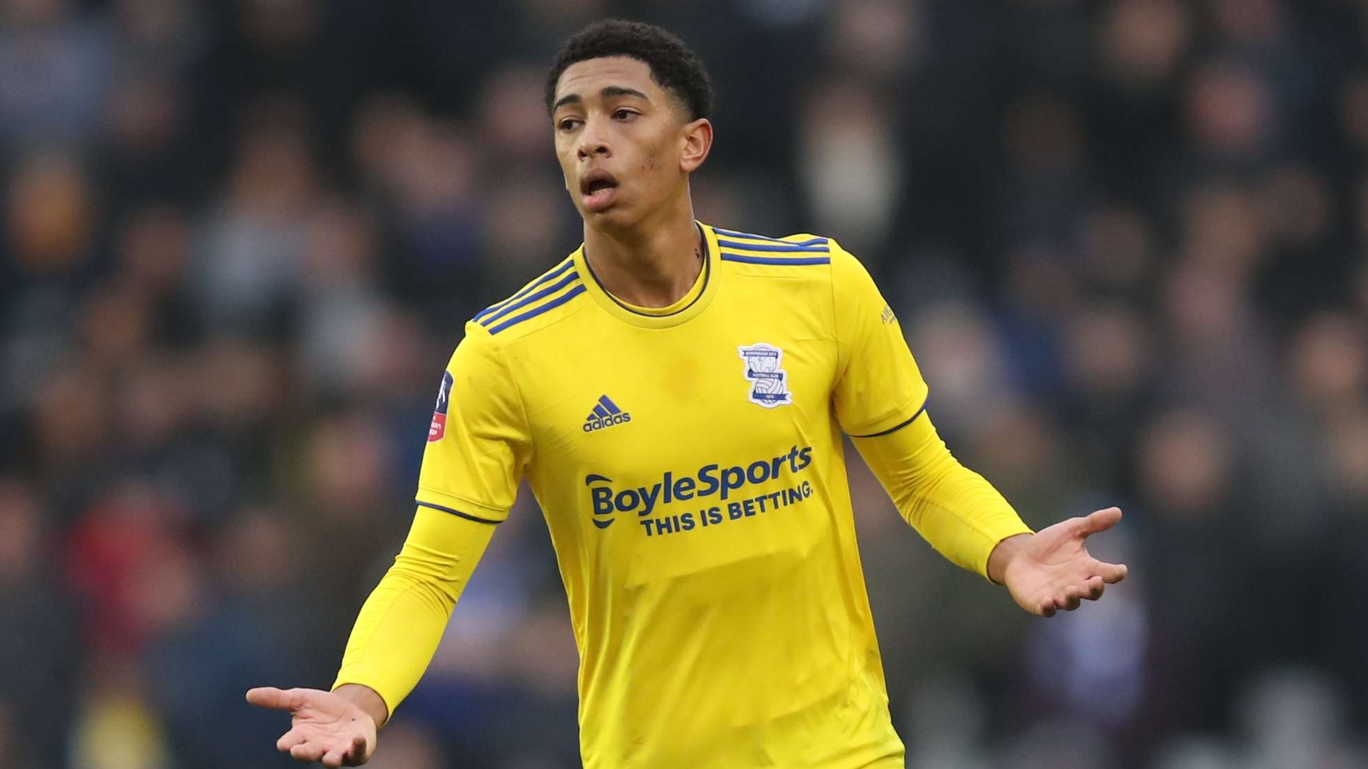 当意大利队 当意大利队