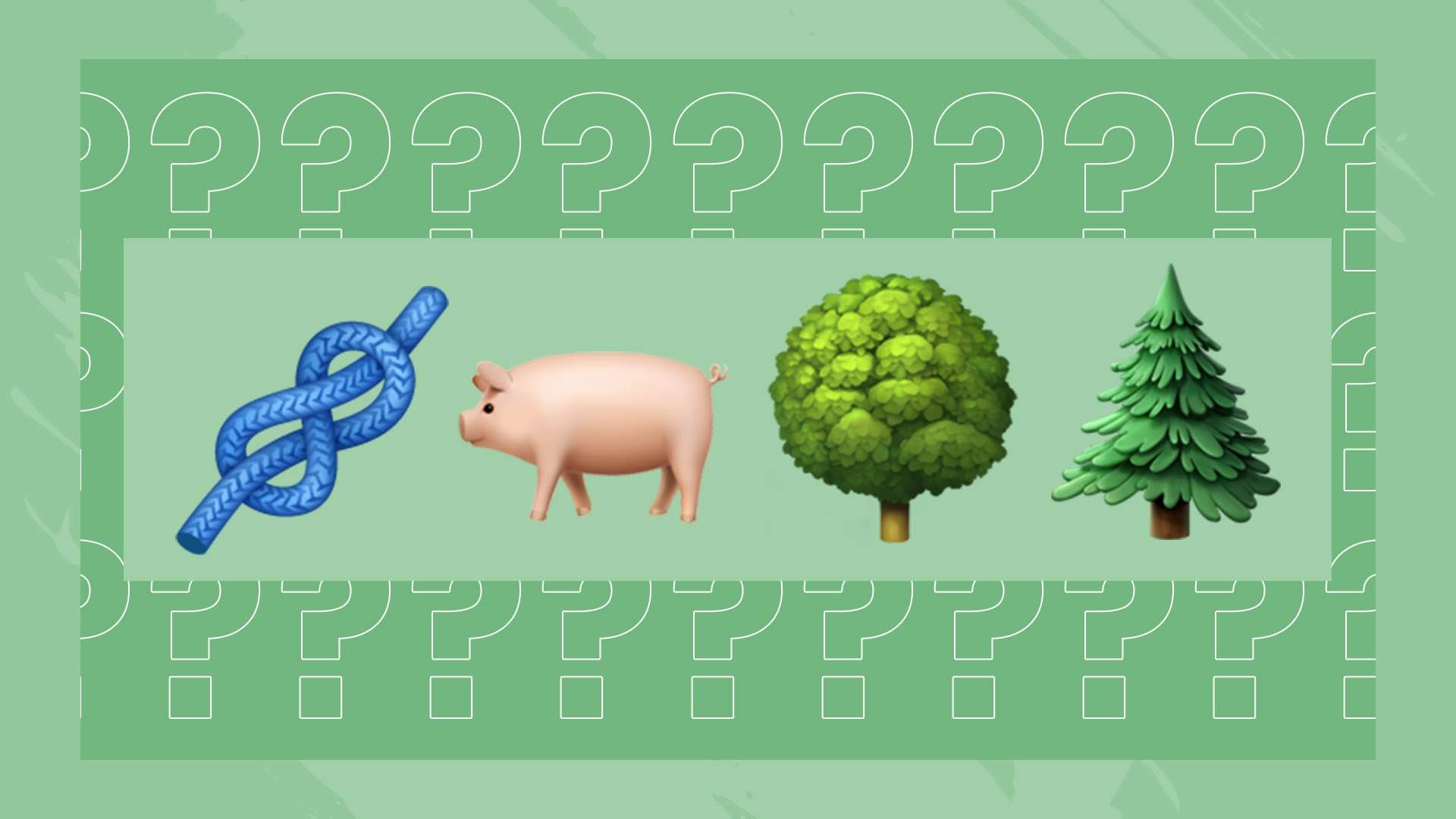 第安橄榄球 第安橄榄球