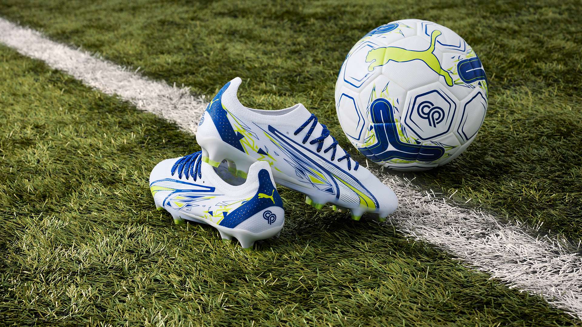 将聚焦于这 将聚焦于这