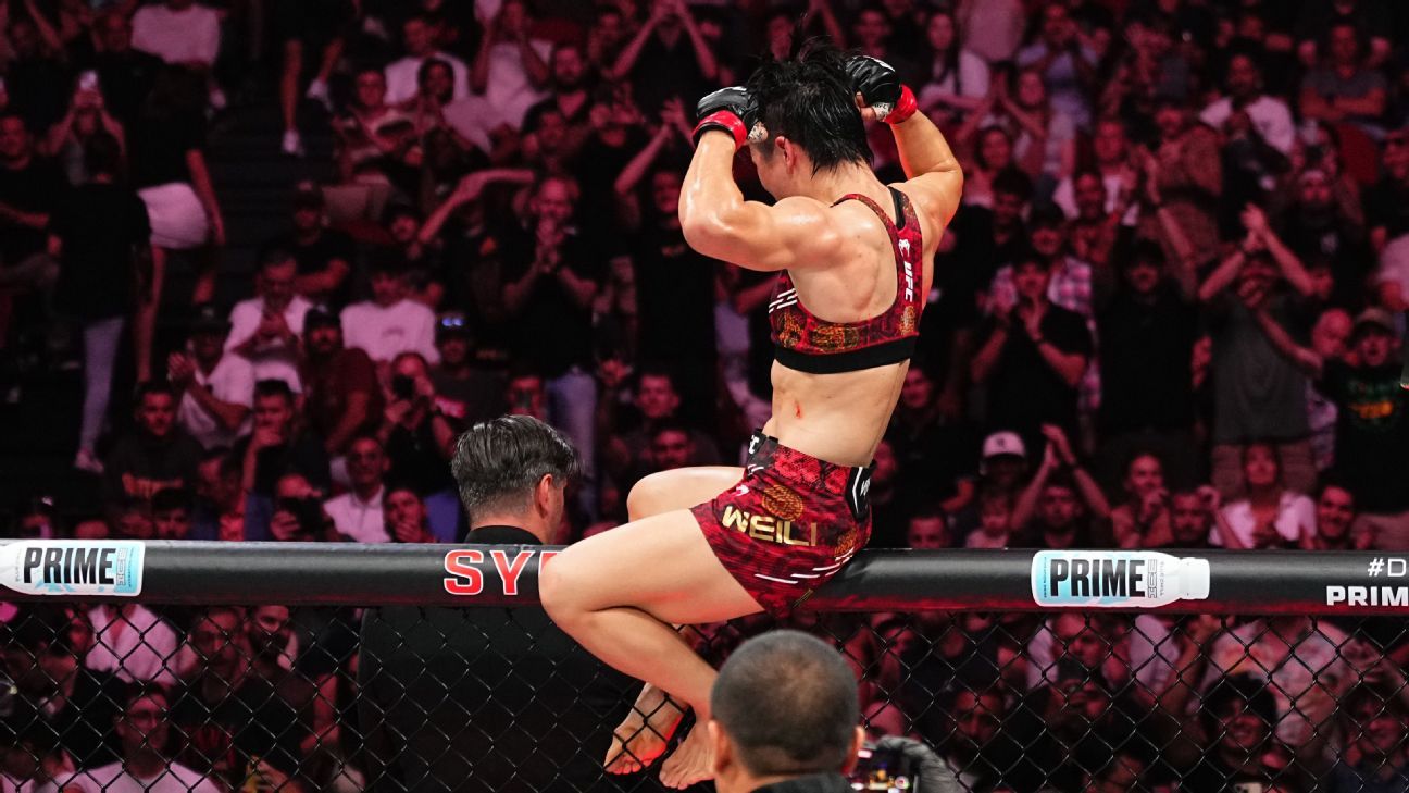 目前球隊面 目前球隊面